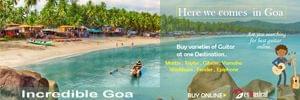 Buy Guitars online in Goa